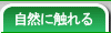 ���R�ɐG���